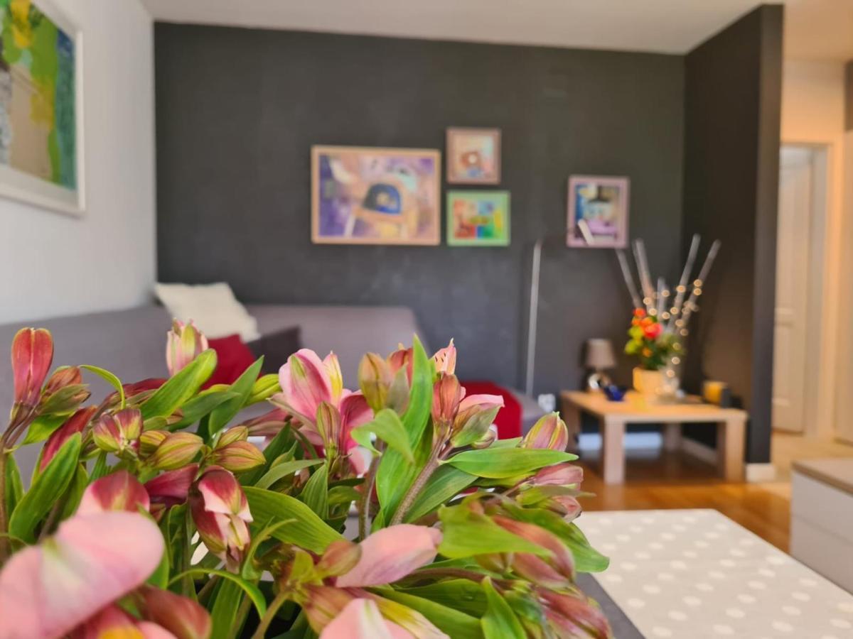 Apartment Vedrana Rovinj Extérieur photo
